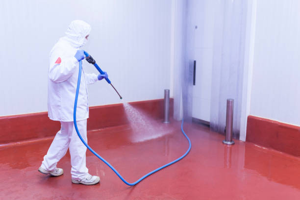Best Driveway Pressure Washing  in Albany, CA
