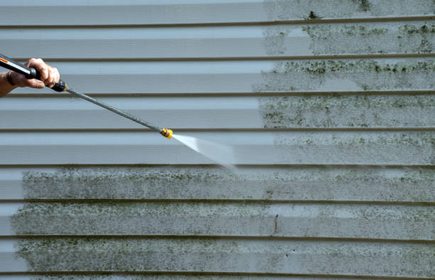 Best Roof Washing  in Albany, CA