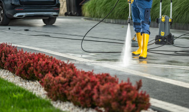 Best Parking Lot and Garage Cleaning  in Albany, CA